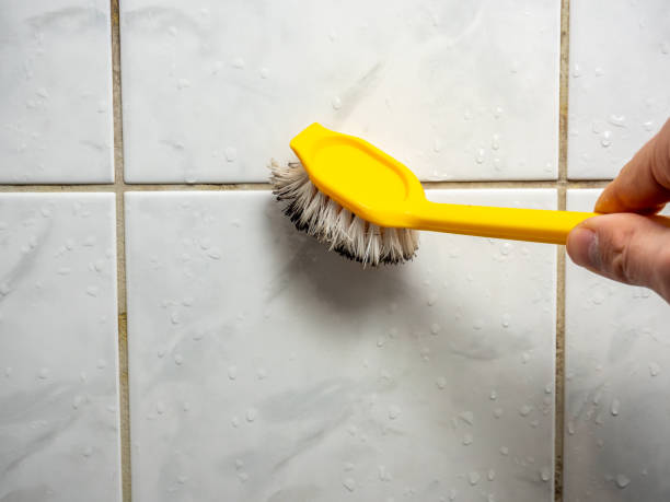Best Mold Removal and Inspection  in Brownsville, PA