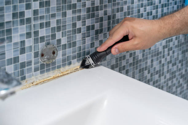 Best Local Mold Removal Service  in Brownsville, PA