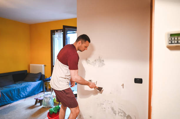 Best Water Damage Restoration  in Brownsville, PA